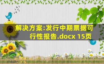 解决方案:发行中期票据可行性报告.docx 15页