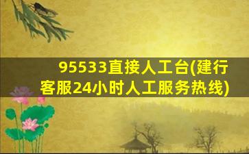 95533直接人工台(建行客服24小时人工服务热线)