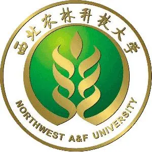 北京化工大学校徽