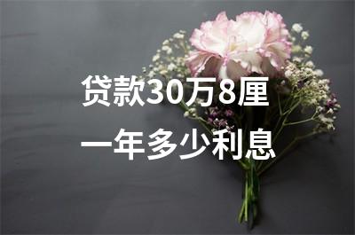 贷款30万8厘一年多少利息