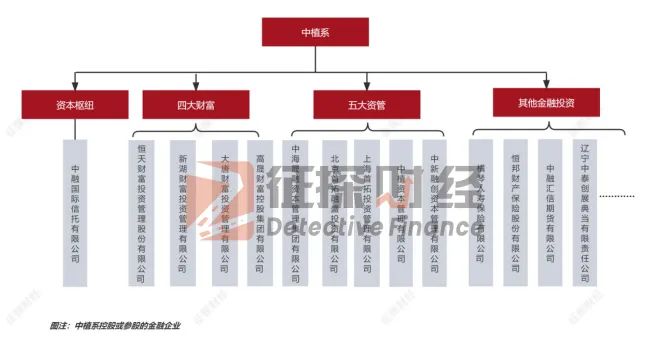 中植系是什么