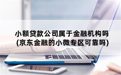 小额贷款公司属于金融机构吗(京东金融的小微专区可靠吗)