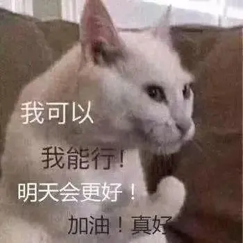 熔断是什么意思