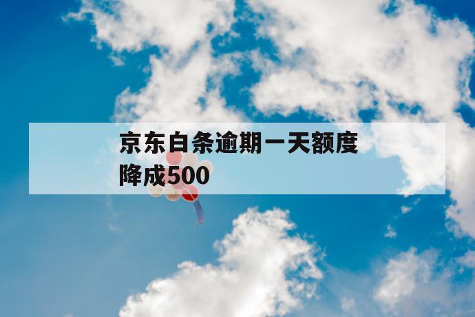 京东白条逾期一天额度降成500 第1张