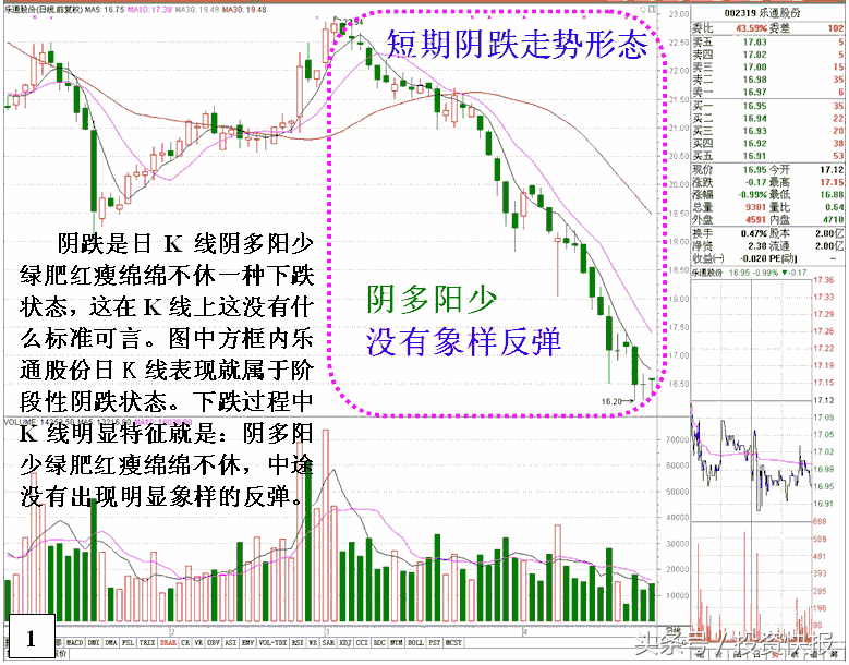 熊市什么意思