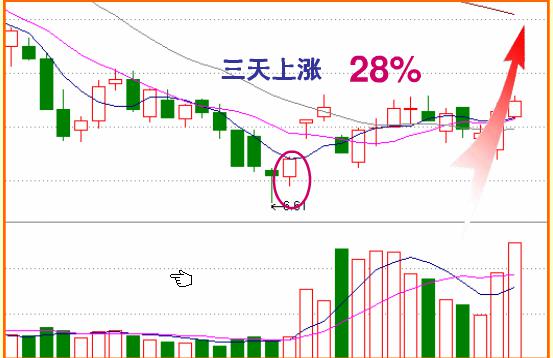 假阳线说明什么