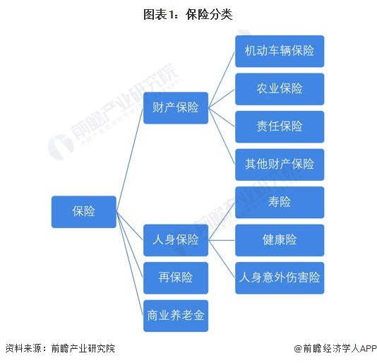 图表1：保险分类