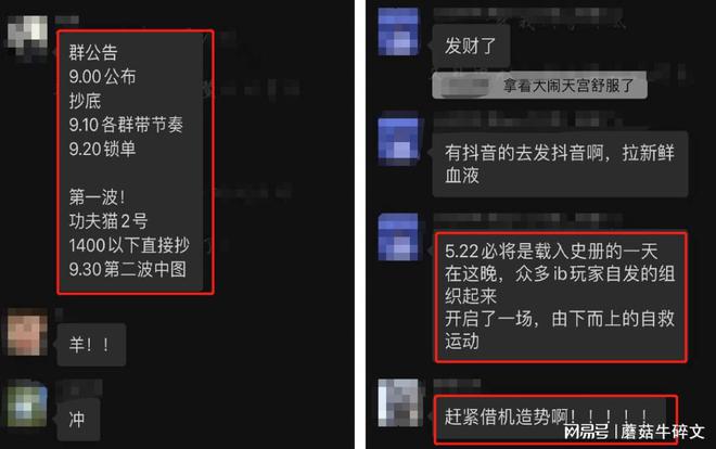 庞氏骗局是什么意思