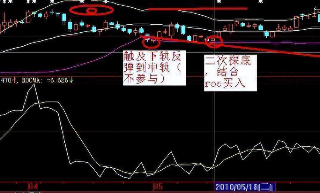 老鸭头形态