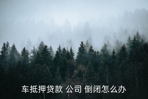 车抵押贷款 公司 倒闭怎么办