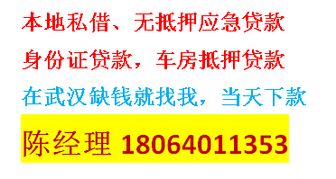 武汉汽车抵押贷款正规平台(民间借贷)2023已更新(今日/头条)923