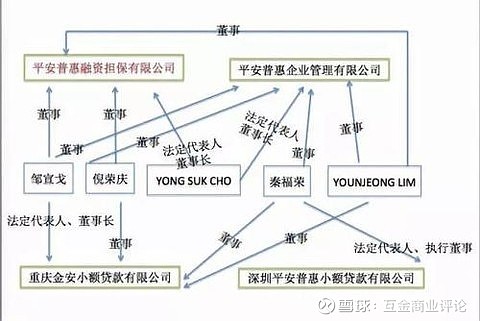 深圳平安普惠小额贷款有限公司