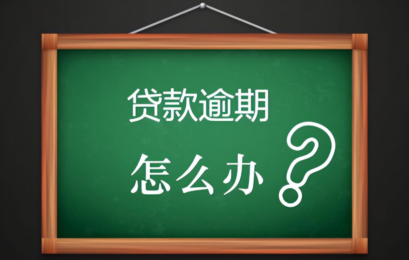 欠小额贷款公司的钱还不上怎么办